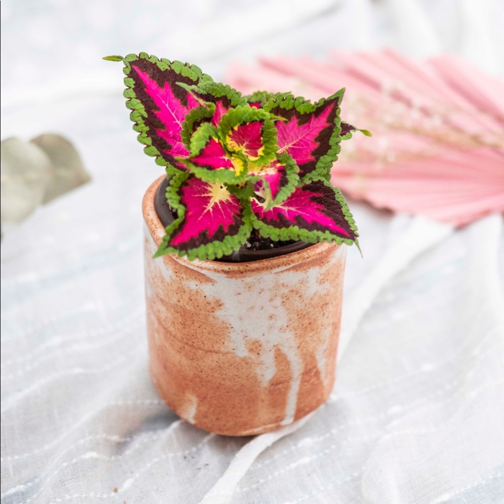 Textured HandmadeCeramic Plant Pot